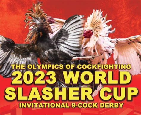3cock derby|World Slasher Cup.